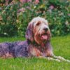 Otterhound diamond paintings