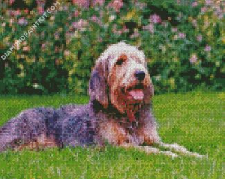 Otterhound diamond paintings