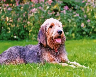 Otterhound diamond paintings