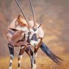 Aesthetic Oryx Animal diamond painting