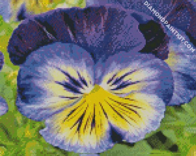 Blue And Yellow Pansy diamond painting