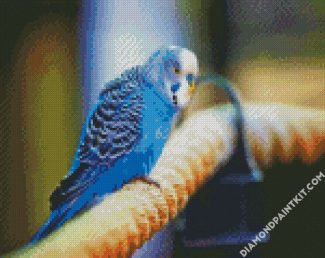 Blue Parakeet diamond painting