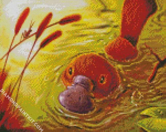 Brown Platypus diamond painting