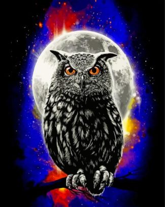 Galaxy Owl diamond painting