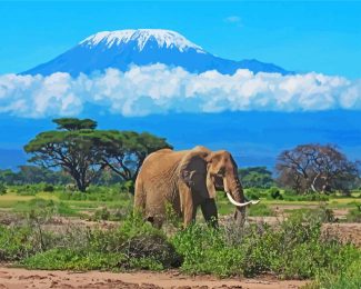 Amboseli National Park elephant kenya diamond painting