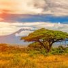 Amboseli National Park kenya africa diamond paintings