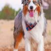 Aussie Dog Pet diamond painting