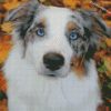 Aussie Dog diamond paintings