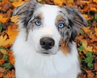 Aussie Dog diamond painting