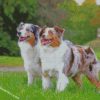 Aussie Dogs diamond paintings