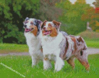 Aussie Dogs diamond paintings