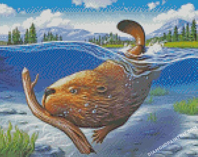 Beaver Swimming Underwater diamond paintings