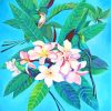 Birds On Frangipani Flowers diamond painting