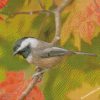 Black Capped Chickadee Bird diamond paintings