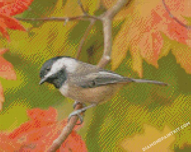 Black Capped Chickadee Bird diamond paintings