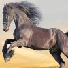 Black Friesian Horse diamond painting