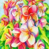 Blooming Frangipani diamond painting