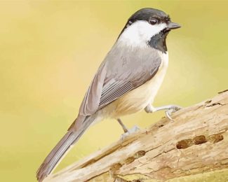 Carolina chickadee diamond painting