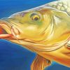 Carp Fish Head diamond painting