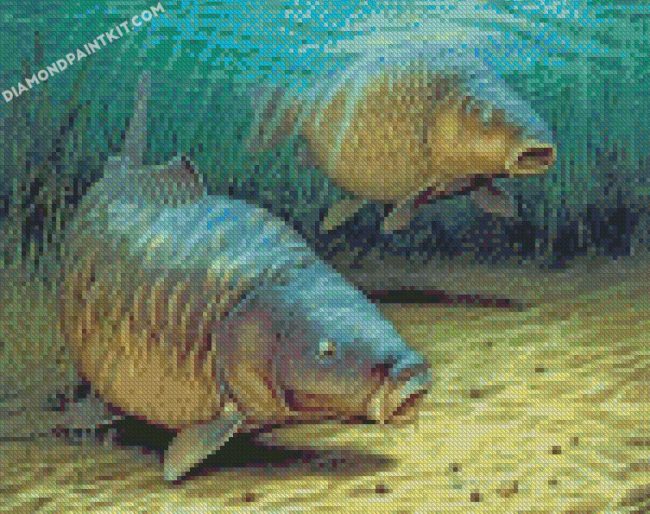 Carp Fshes diamond paintings