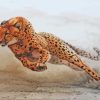 Cheetah Running diamond painting