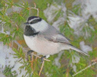 Chickadee Bird In Snow diamond paintings