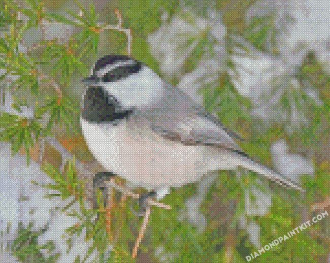 Chickadee Bird In Snow diamond paintings