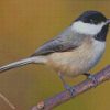 Chickadee Bird diamond paintings