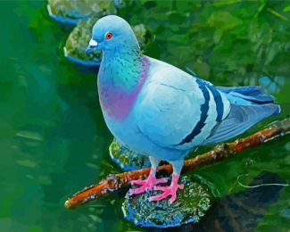 Columbidae bird diamond painting