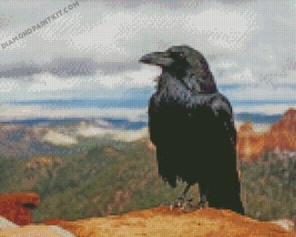 Common raven diamond paintings