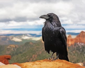 Common raven diamond painting