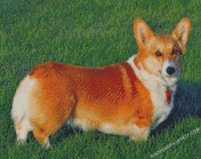 Corgi Dog Puppy diamond paintings