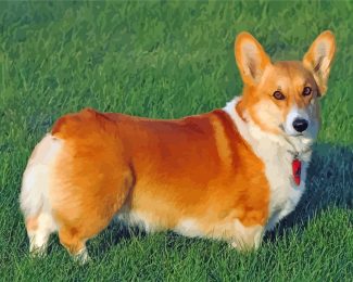 Corgi Dog Puppy diamond painting