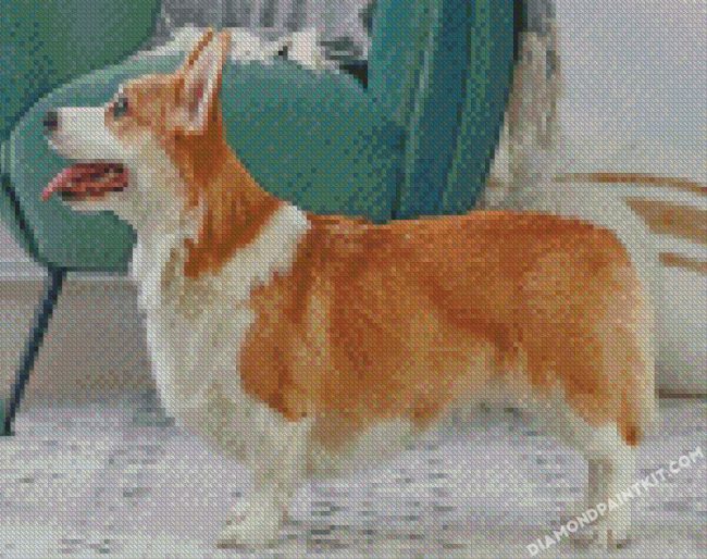 Corgi Dog diamond paintings