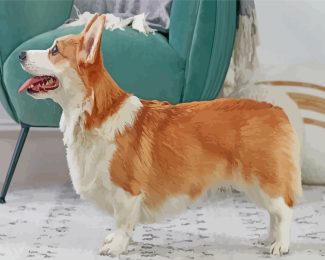 Corgi Dog diamond painting