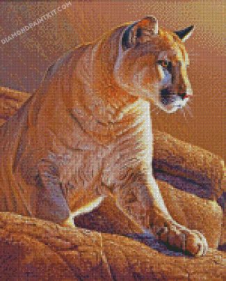 Cougar CaT diamond paintings