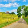 Country Road ohio scenic diamond painting