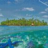 Fiji Tropical Island diamond paintings