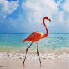 Flamingo By Beach diamond painting