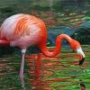 Flamingo Drinking Water diamond painting