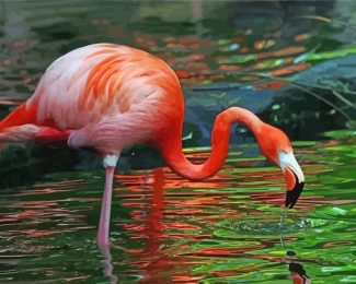 Flamingo Drinking Water diamond painting