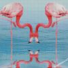 Flamingos Drinking Water diamond paintings