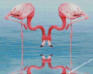 Flamingos Drinking Water diamond paintings