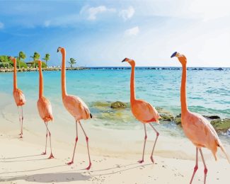 Flamingos In Aruba Beach diamond painting