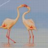 Flamingos Kiss diamond paintings