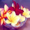 Frangipani Bowl diamond painting