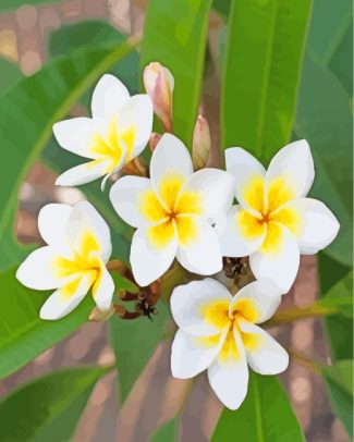 Frangipani Flowering Plant diamond painting