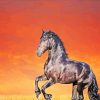 Black Shining Horse diamond painting