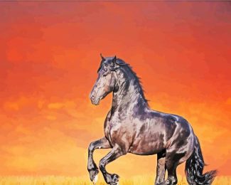 Black Shining Horse diamond painting