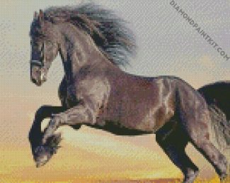 Black Friesian Horse diamond paintings